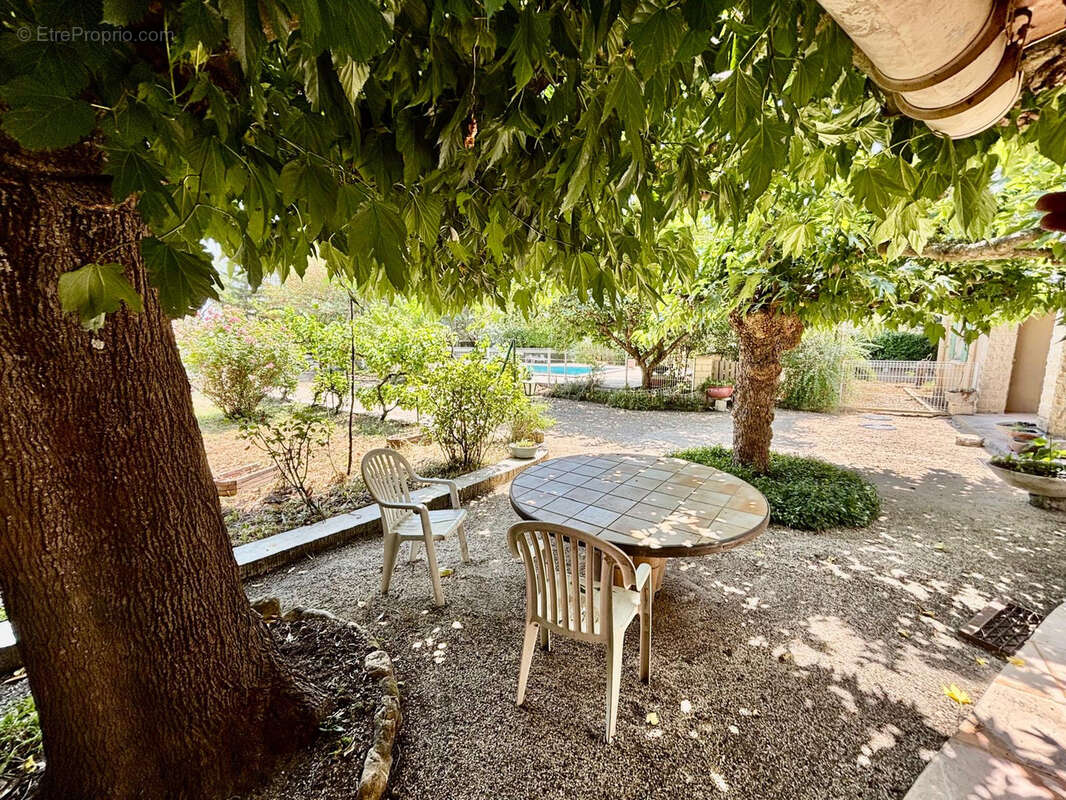 Sainte-cécile-les-vignes villa avec piscine - photo 26