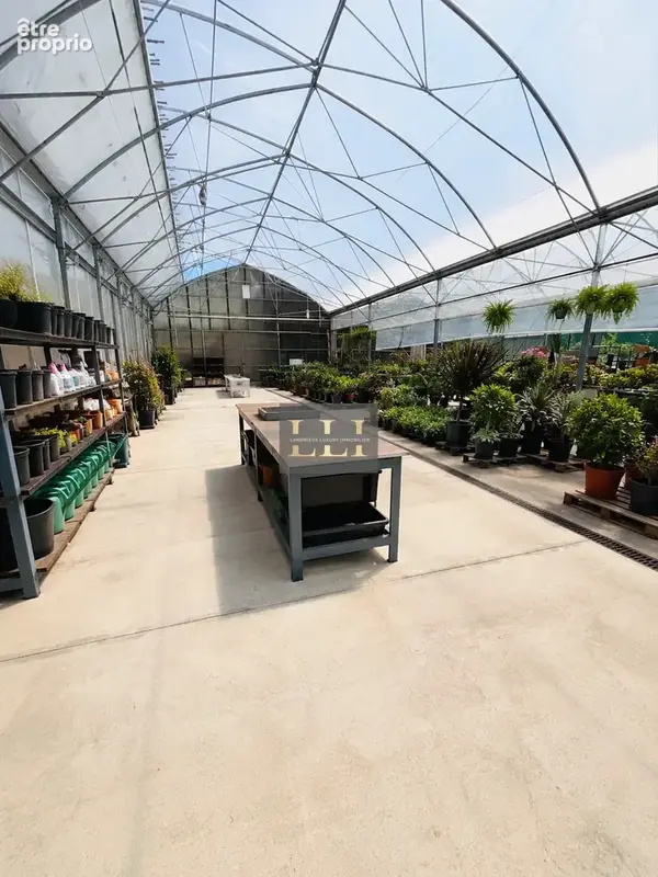 Fonds de commerce fleuriste & jardinerie 1400m2 - photo 4