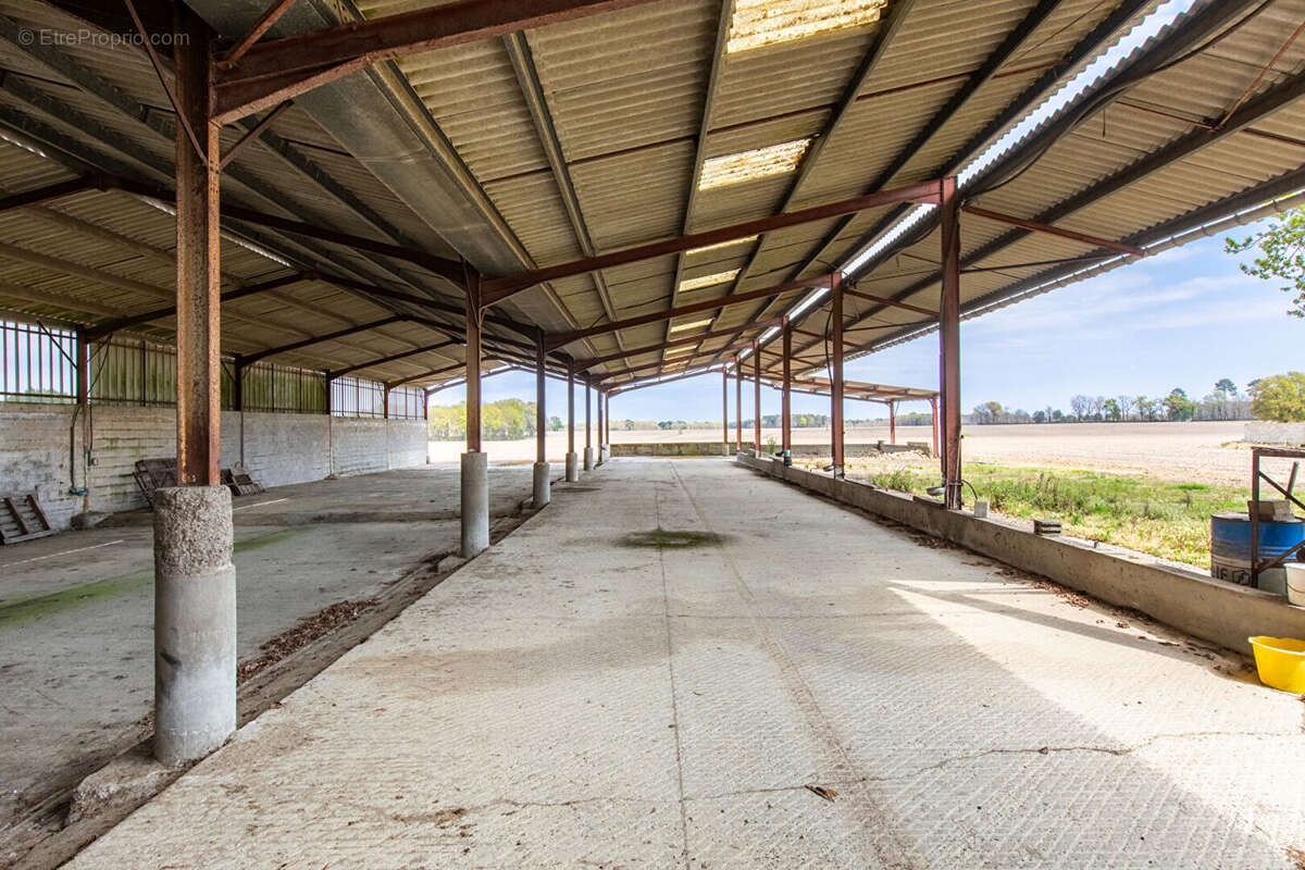 Maison à AIRE-SUR-L&#039;ADOUR