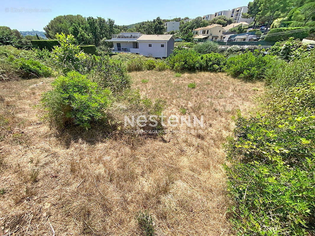 Terrain  avec pc 1669m2 - vallauris-les impiniers -constructible-piscinable - photo 3