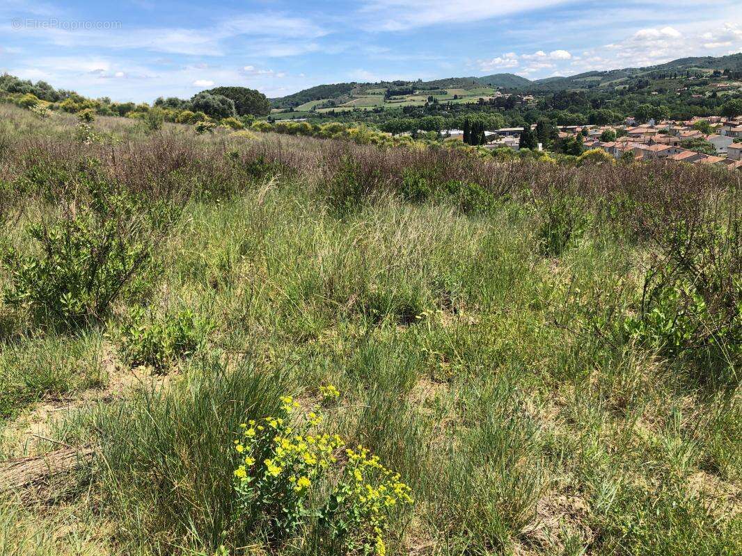 Terrain à LIMOUX