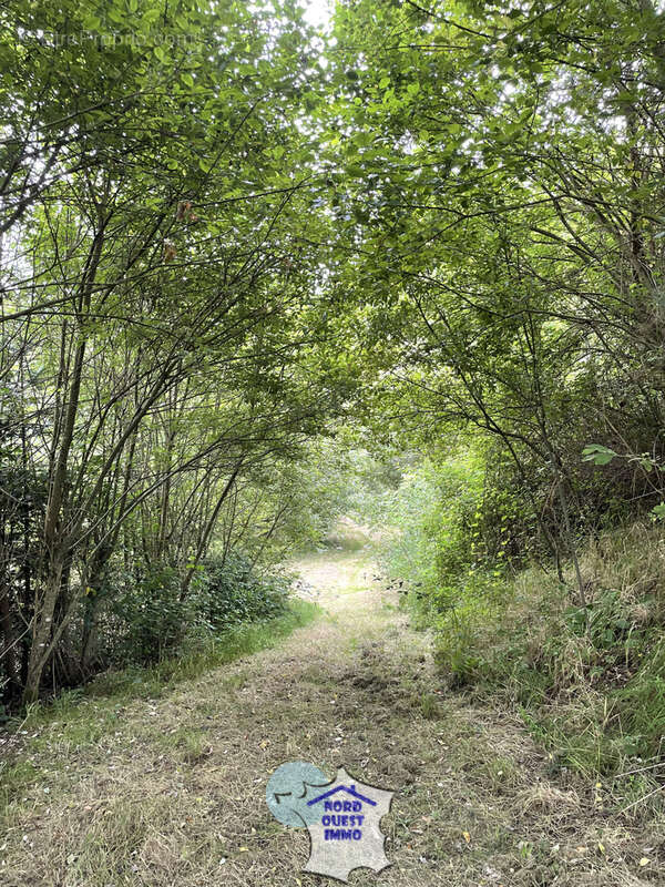 Emplacement idéal - photo 8