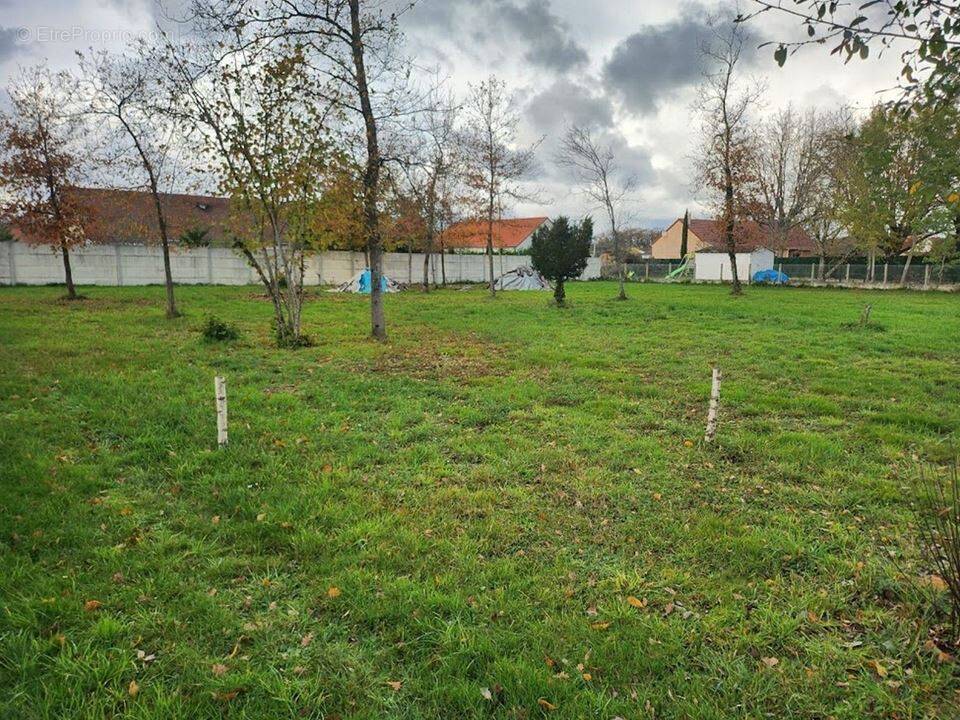 Terrain à VILLEMANDEUR