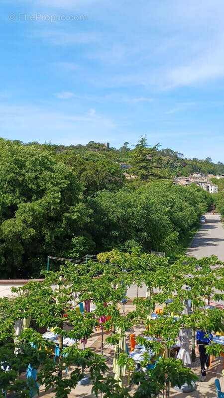 Photo 4 - Maison à SAUVE