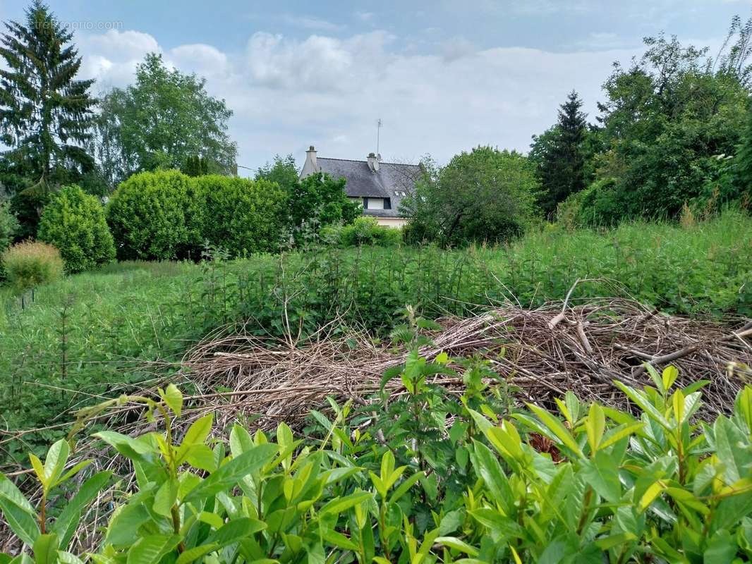 Terrain à SAINT-CARADEC