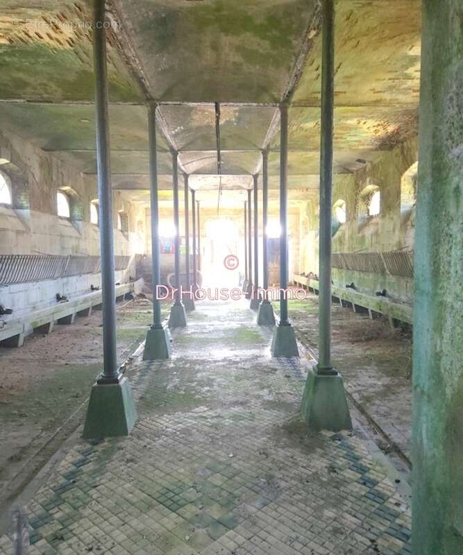 Maison à LOUVIGNE-DU-DESERT