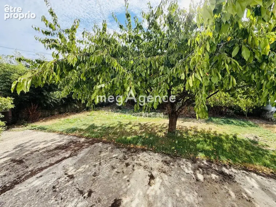 Maison familiale avec maison d’amis, dépendance et jardin plein Sud à Thorigny-sur-Oreuse - photo 15