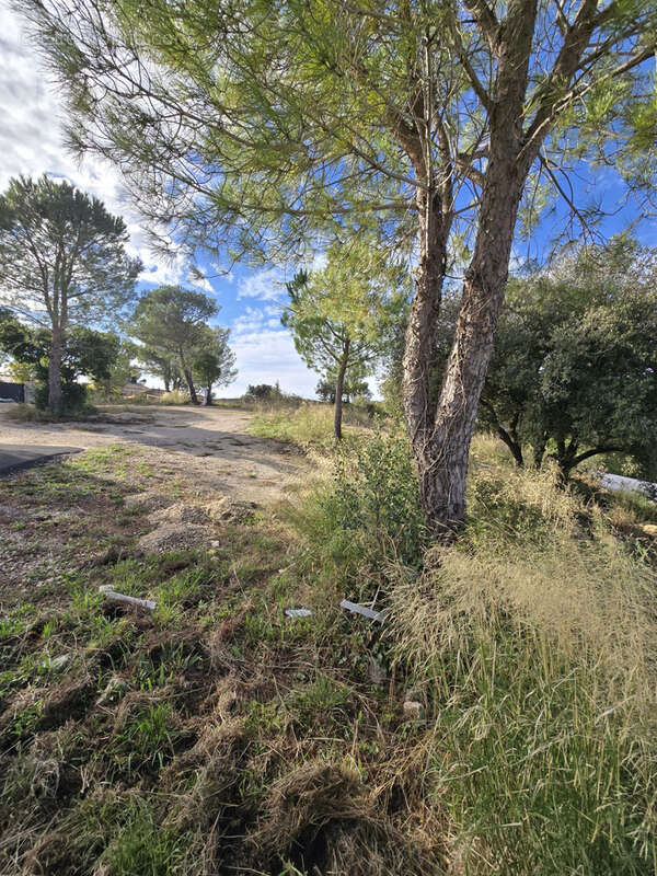 Terrain à COMBAILLAUX
