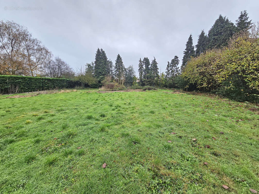 Terrain à FRETIN