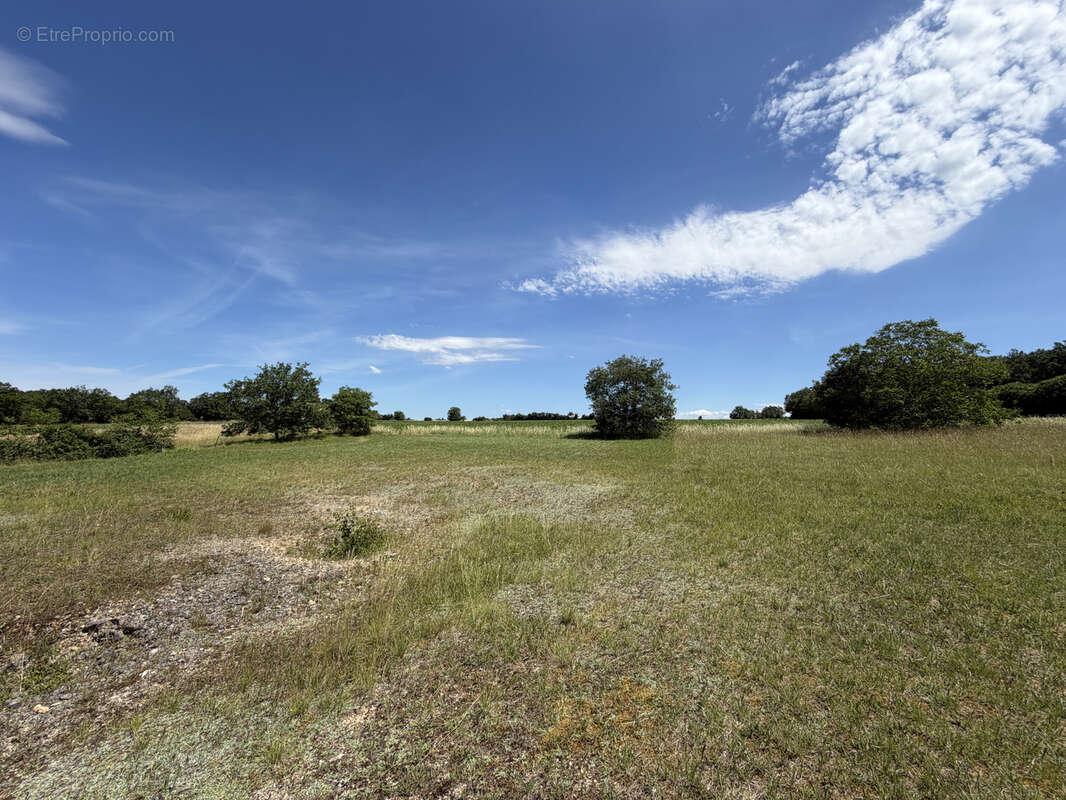 Terrain à LIVERS-CAZELLES
