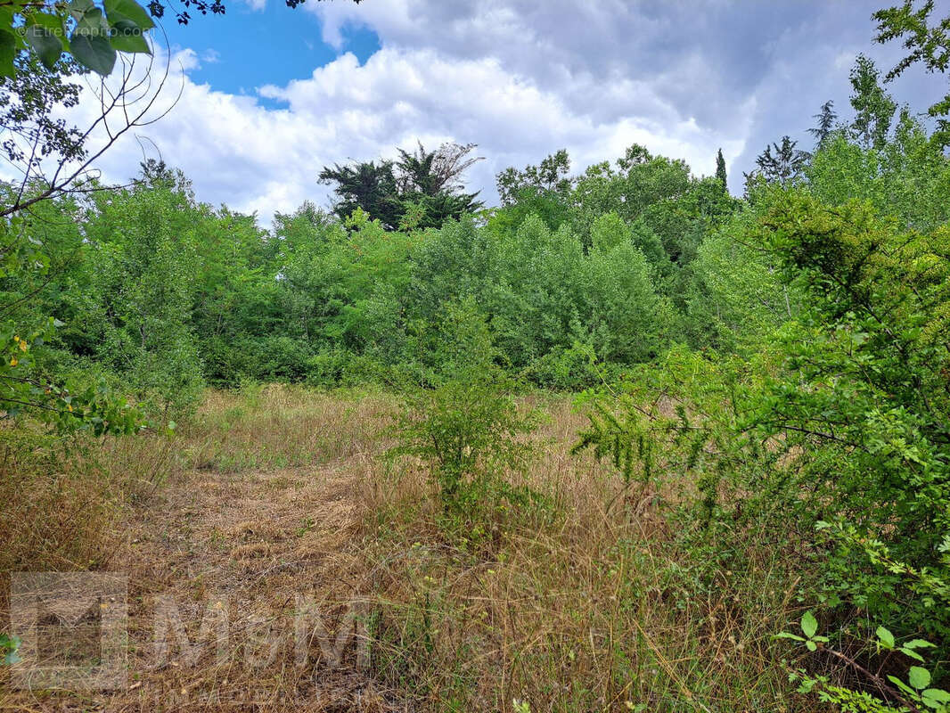 Grand Terrain Constructible - photo 9