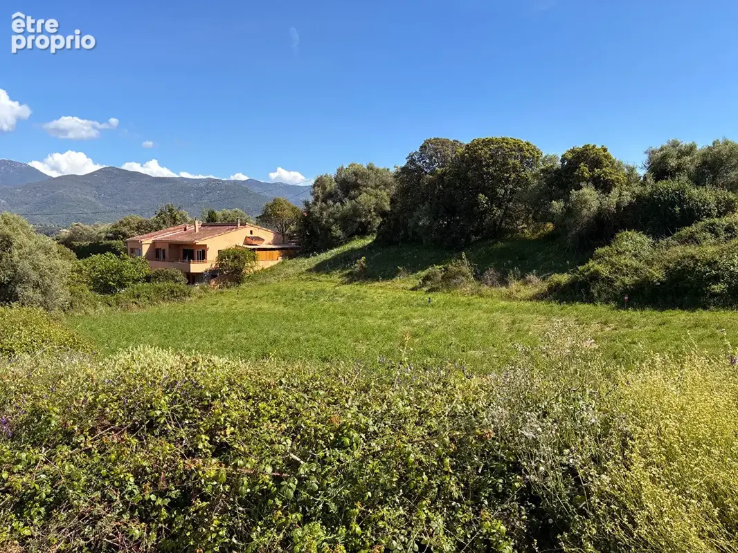 Terrain à BASTELICACCIA