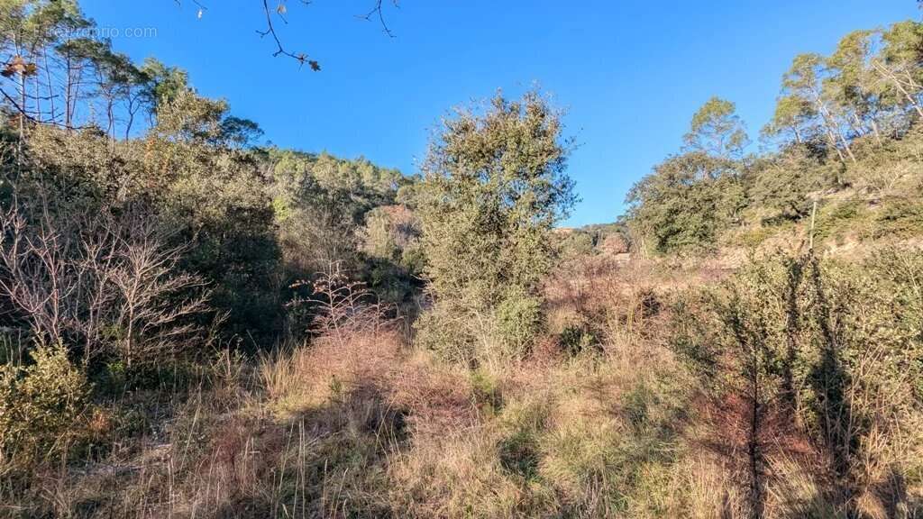 Terrain à LE THORONET