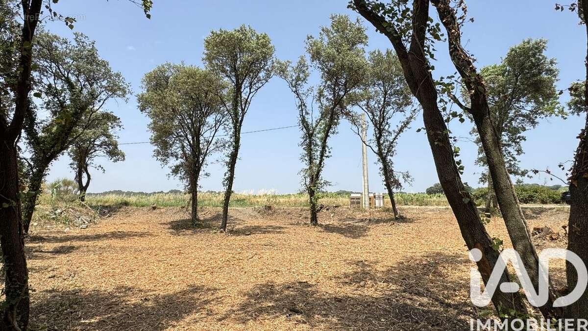 Photo 3 - Terrain à BEDARRIDES