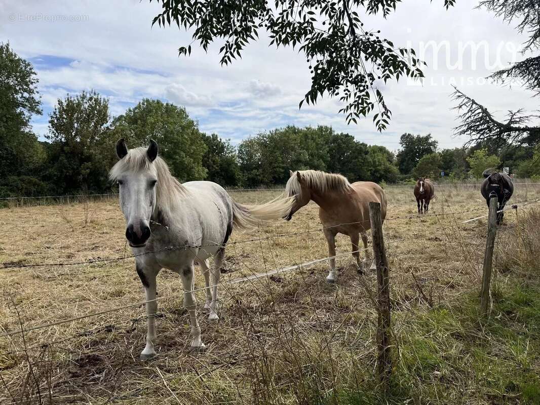 Maison à SAINT-ETIENNE-DE-MONTLUC