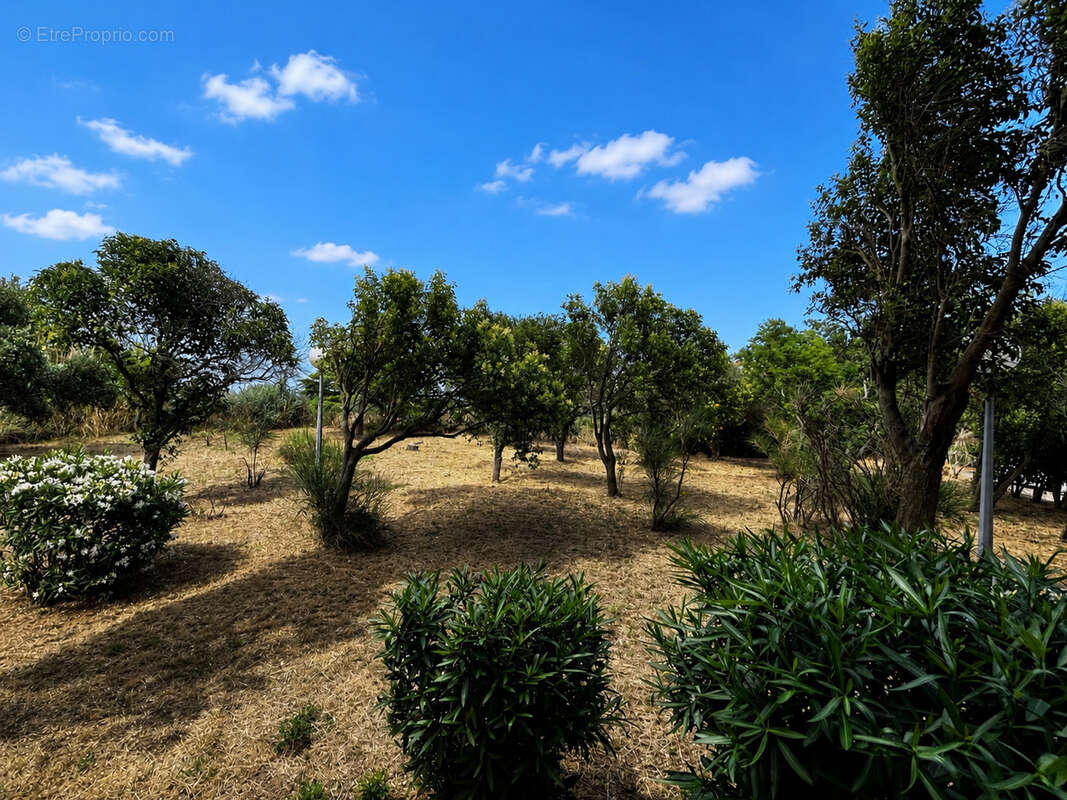 F3 + cave secteur las cobas - photo 12