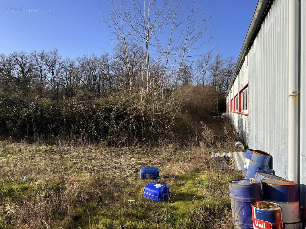 Commerce à ARGENTON-SUR-CREUSE