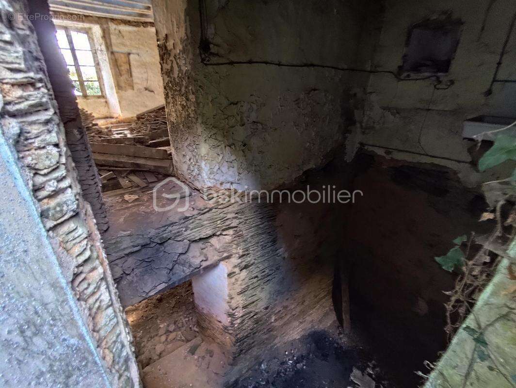 Maison à SENONNES