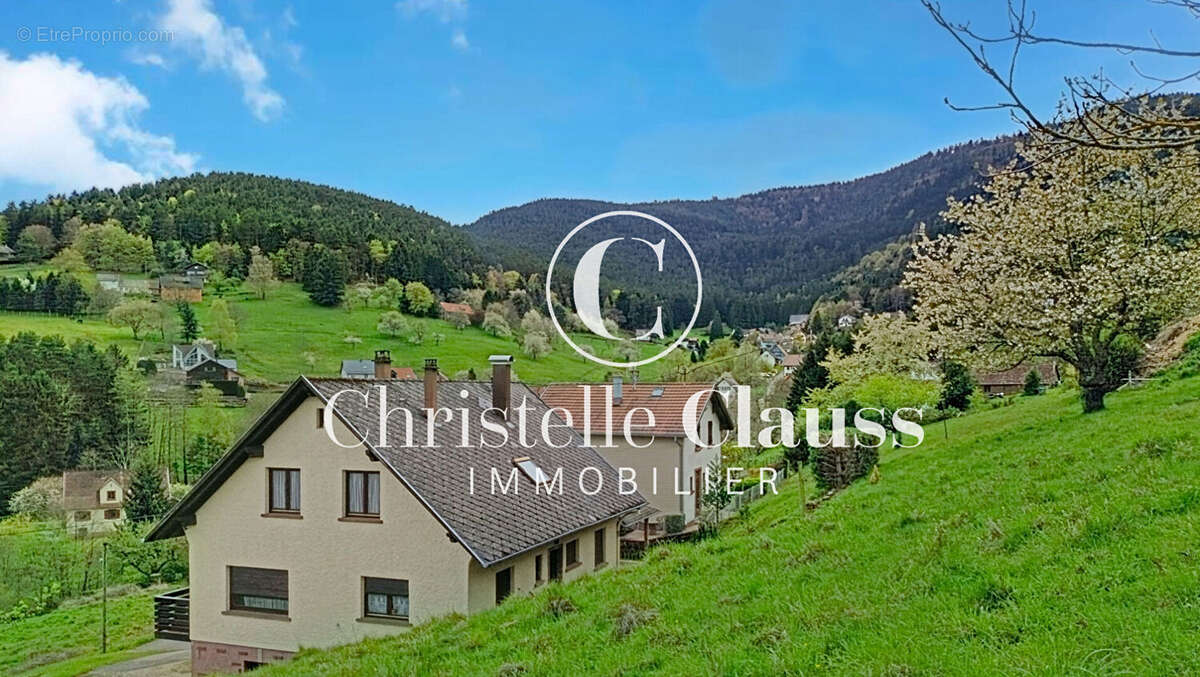 Terrain à WANGENBOURG-ENGENTHAL