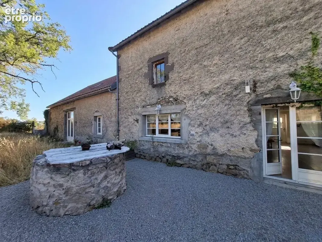 Maison 10 pièces 300 m² à vendre à Teilhede (63460) - photo 4
