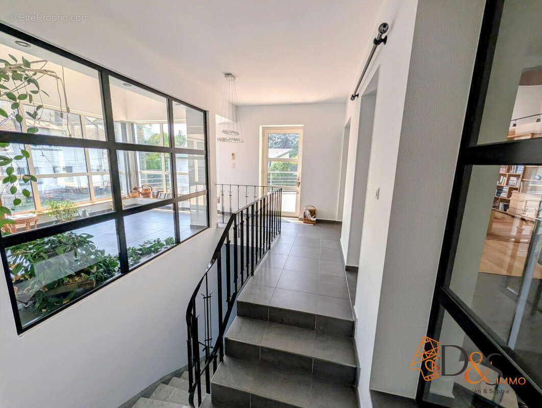 Appartement 201 m² à Riedisheim  - photo 4