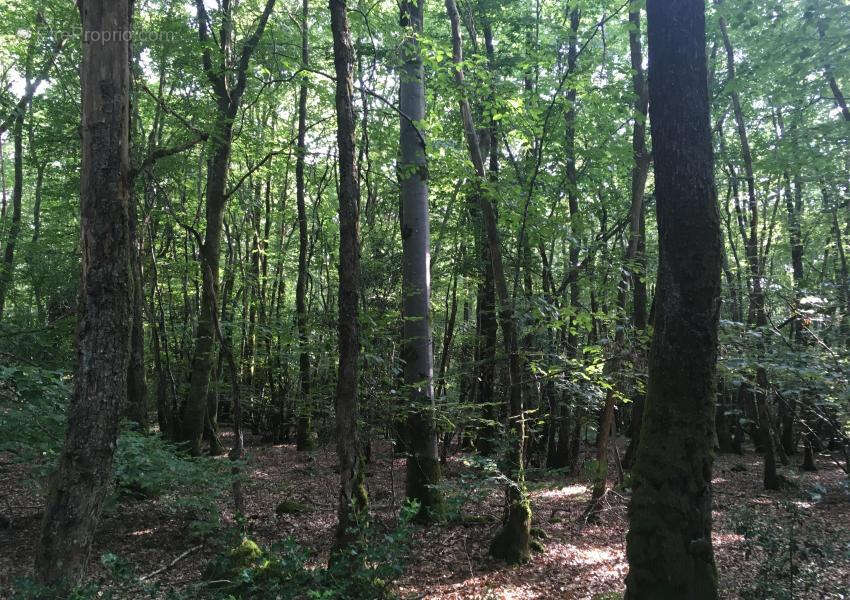 Terrain à SAINT-JEAN-LES-DEUX-JUMEAUX