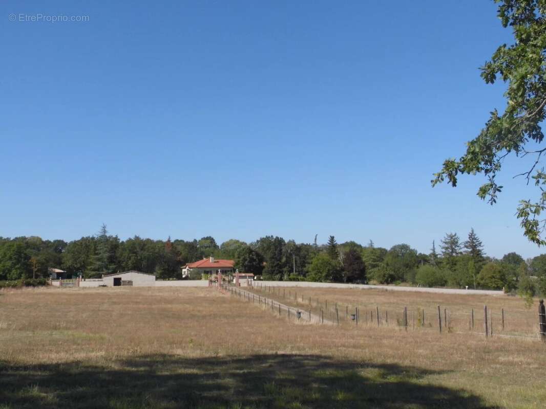 Maison à CORDES-SUR-CIEL