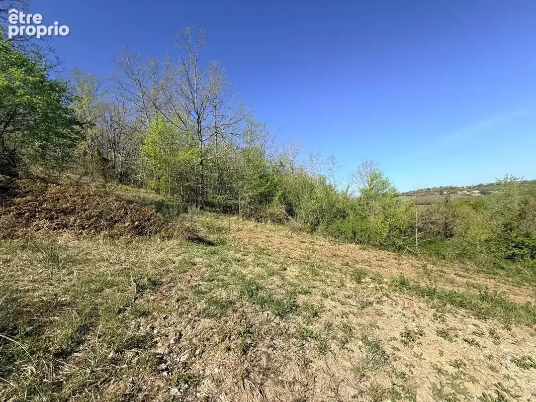 Terrain 6136 m² à Duran  - photo 3