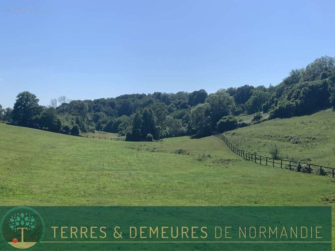 A vendre dans le PAYS D'AUGE du CALVADOS, secteur LISIEUX, haras d'élevage de chevaux sur une surface de 48 ha. - photo 18