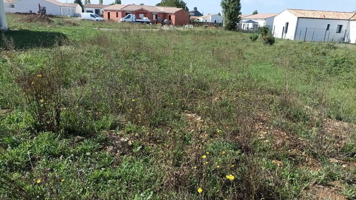 Terrain à SAINT-PORCHAIRE