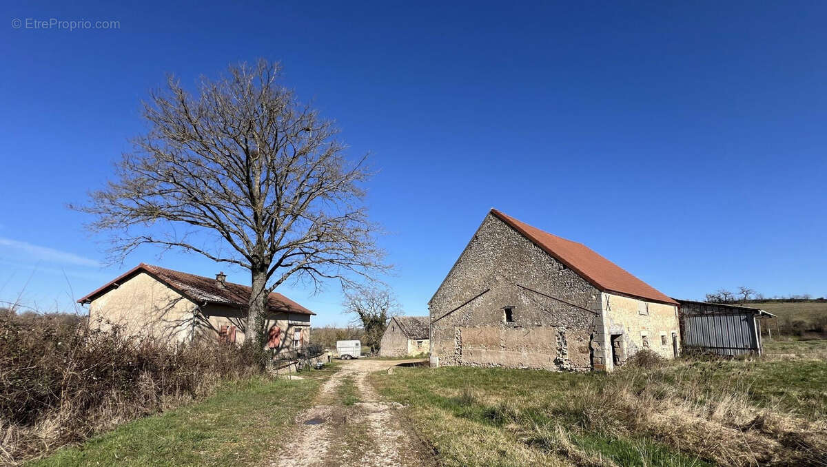 Exploitation céréalière de 170ha dans l'Allier (03) - photo 12