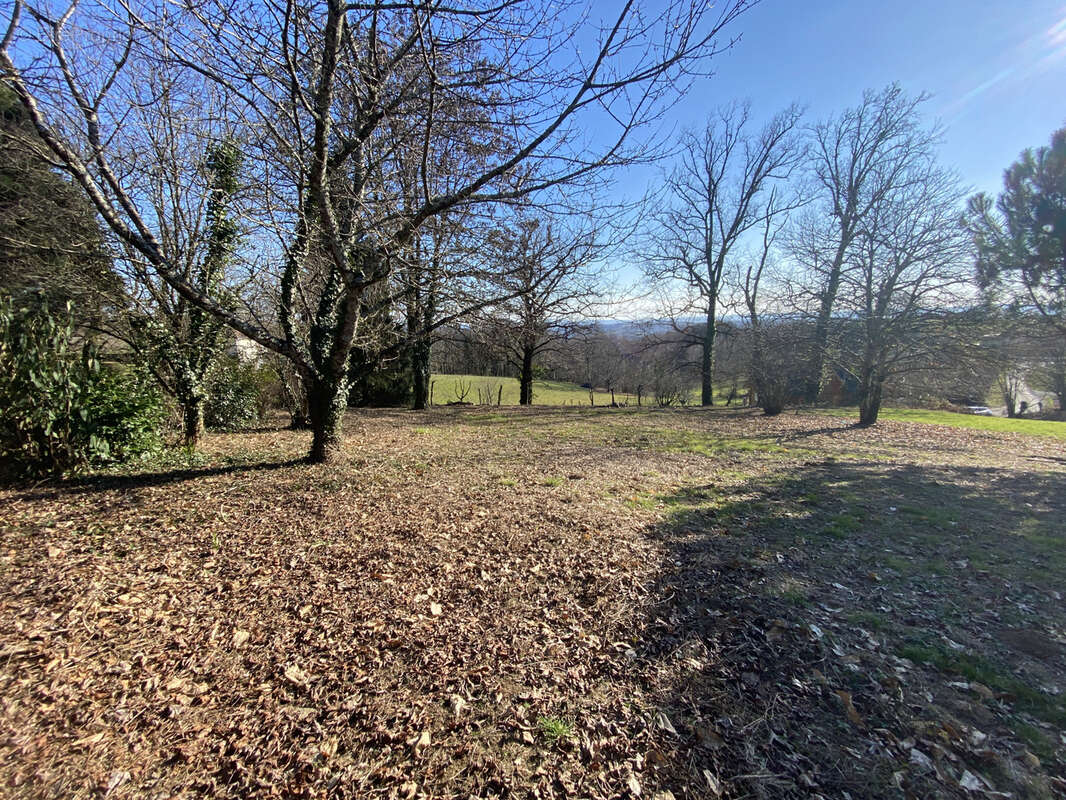 Terrain à DONZENAC