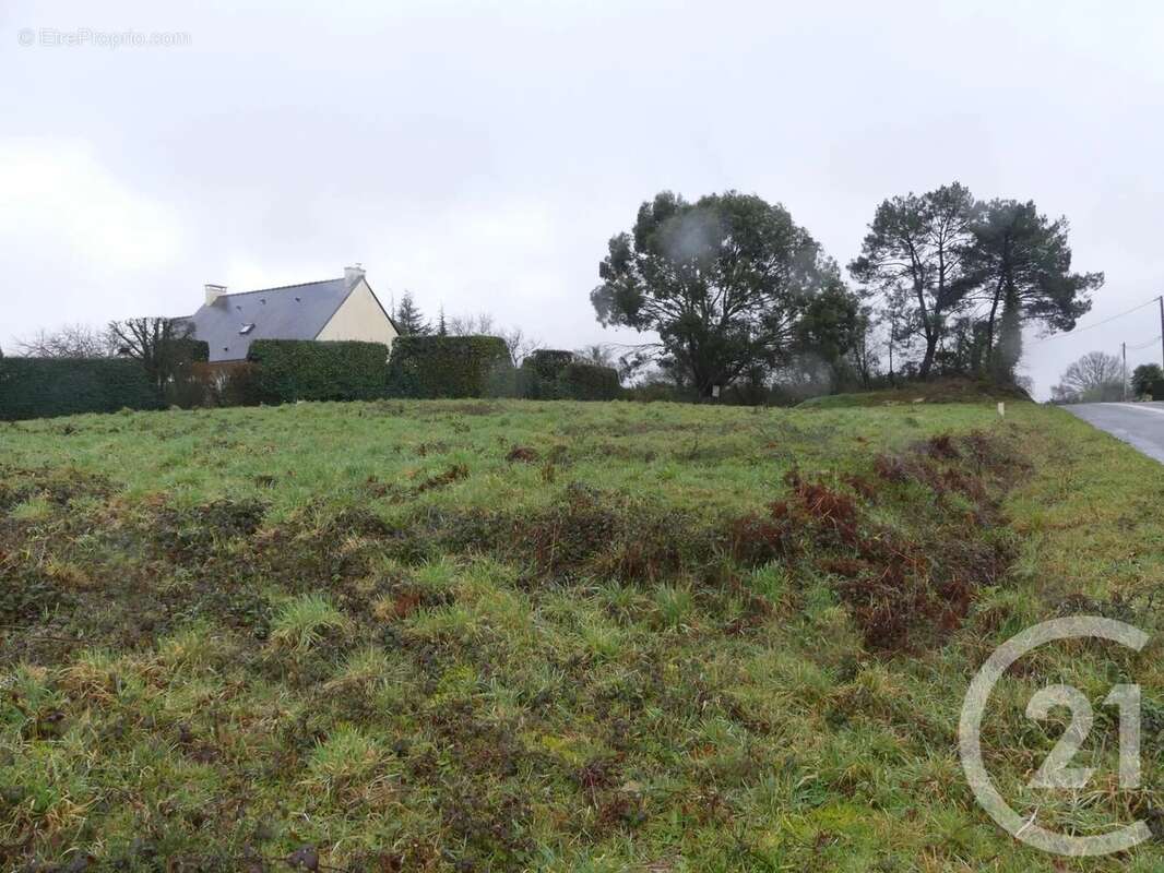 Terrain 1357 m² à Allaire  - photo 8