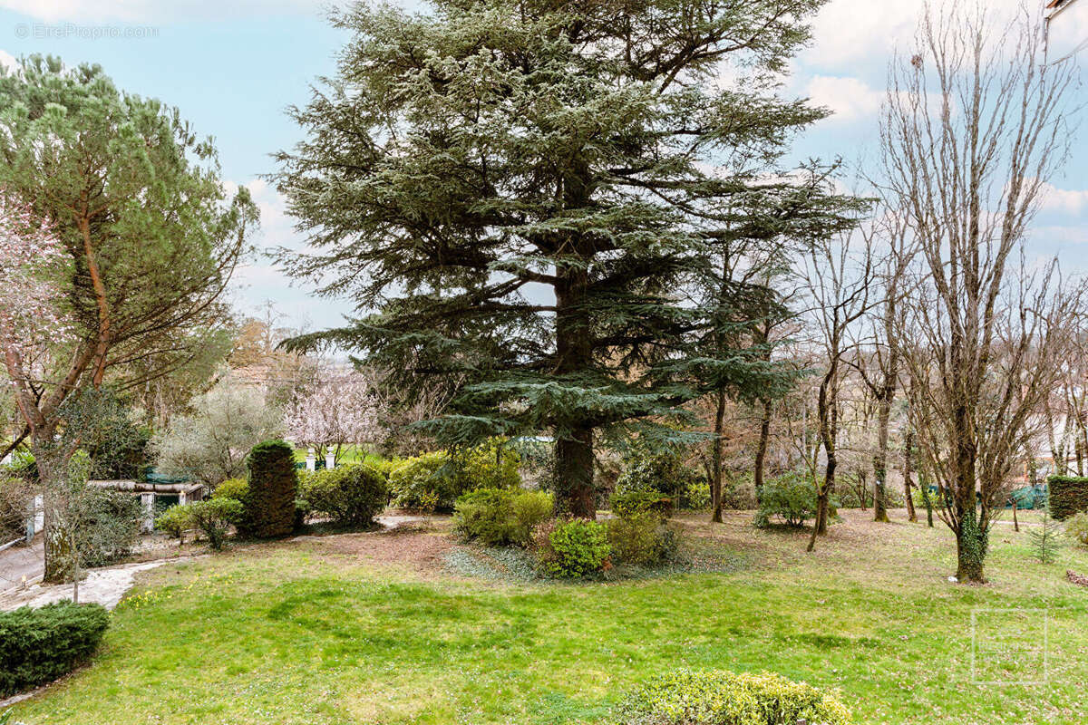 SAINT CYR AU MONT D'OR, Maison de 240m² sur 3200m² de terrain plat, arboré et clos - photo 6