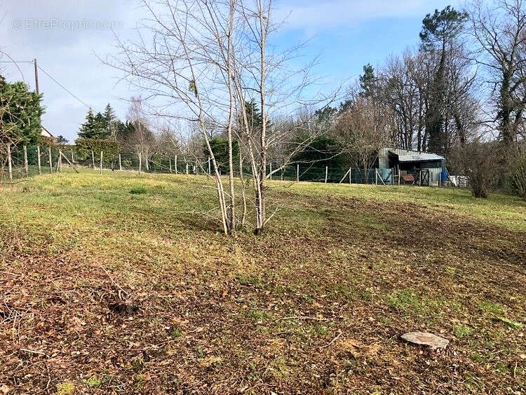 Terrain à CHATEAU-L&#039;EVEQUE