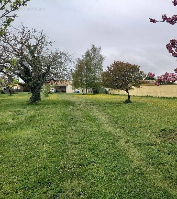 Terrain à SAUJON