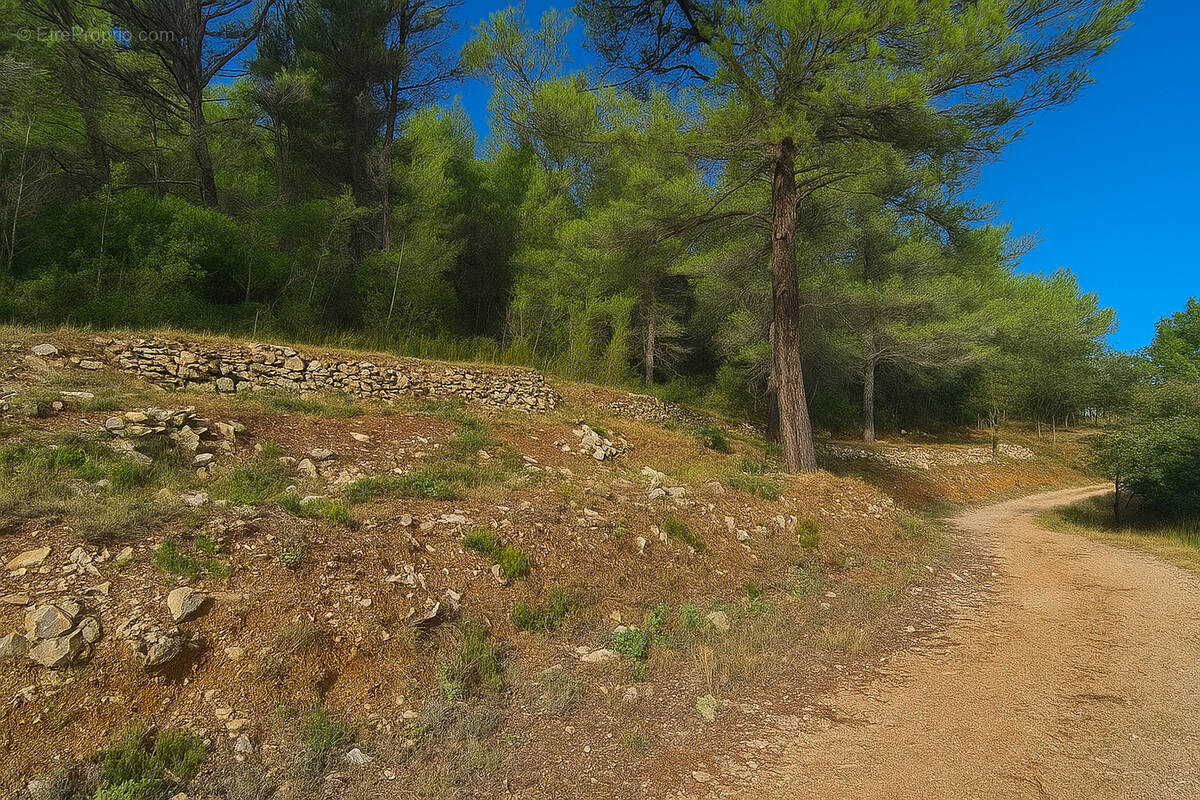 Terrain à SOLLIES-TOUCAS