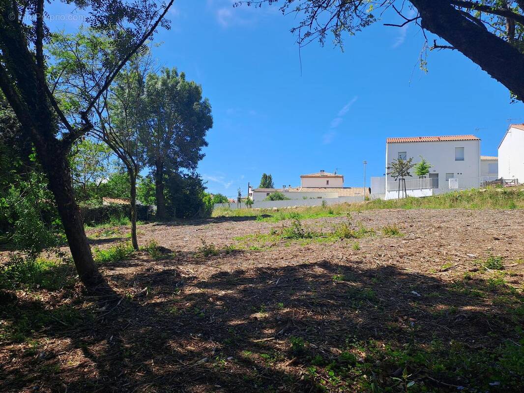 Terrain à VAUX-SUR-MER