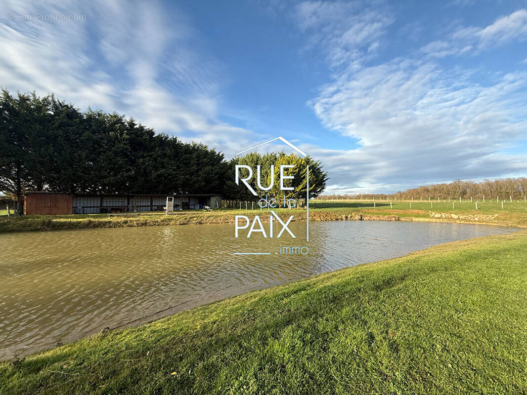 Terrain à MOUTERRE-SILLY