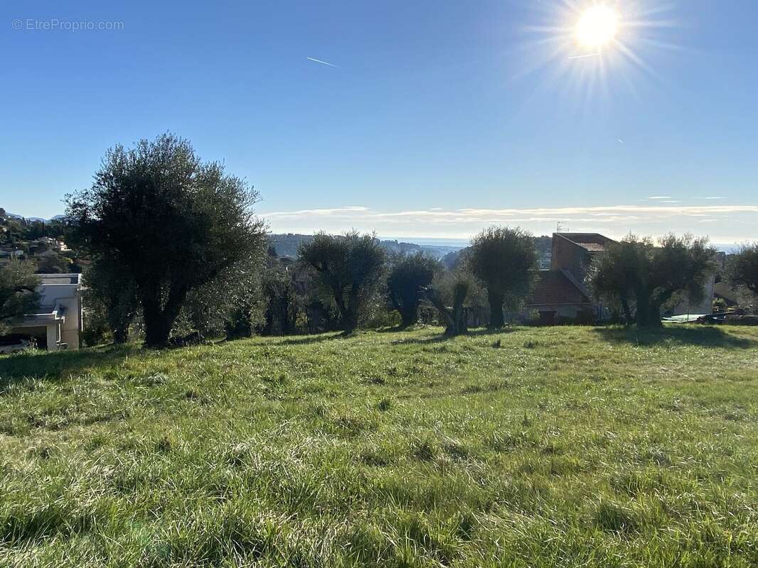 Photo 1 - Terrain à VENCE