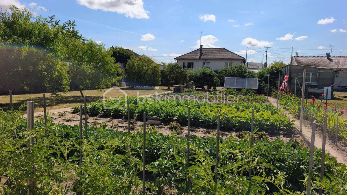 Maison 63 m² à Coullons  - photo 14