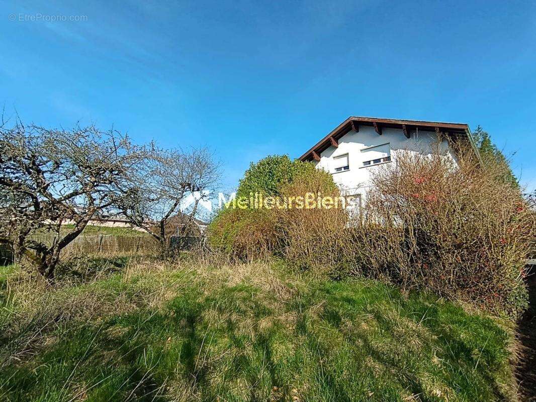 Maison à BOURBONNE-LES-BAINS