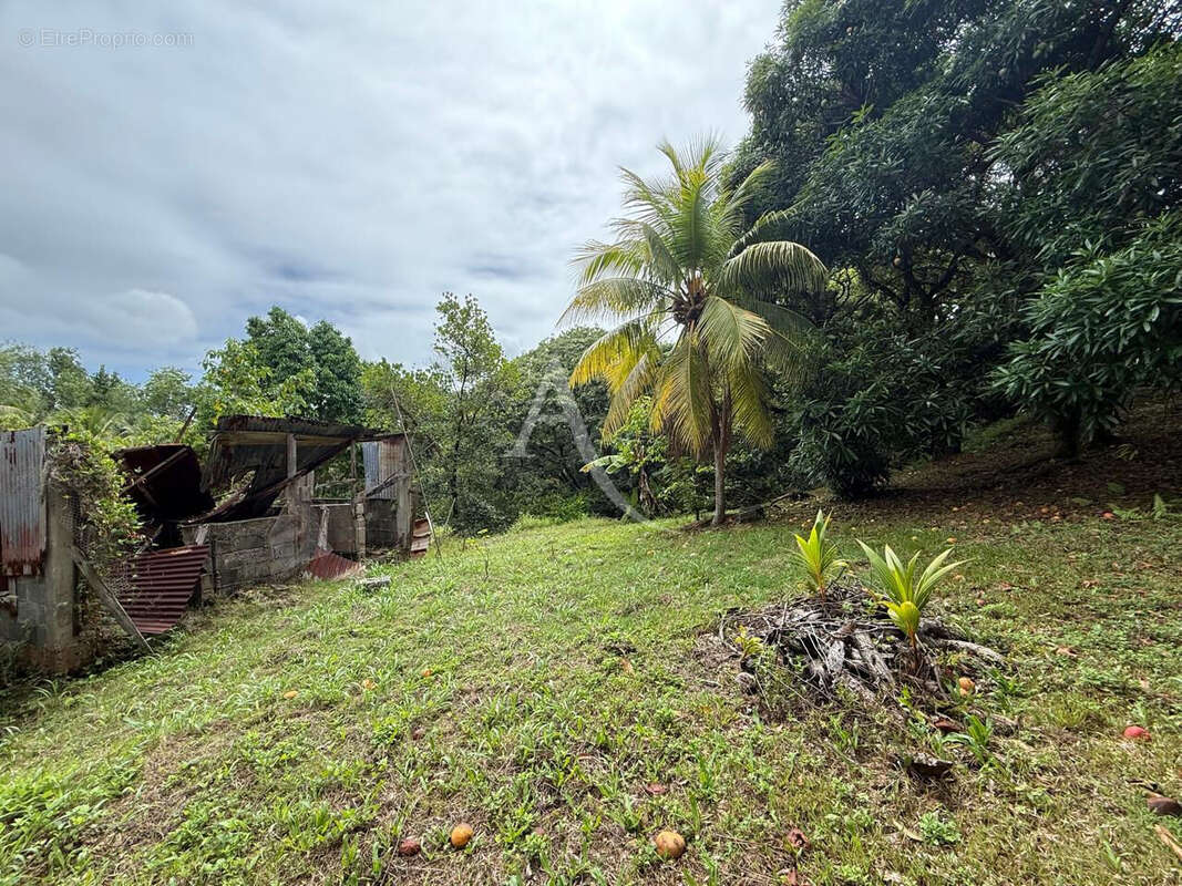 Villa de 7 chambres sur grand terrain à fort potentiel à Petit Bourg - photo 9