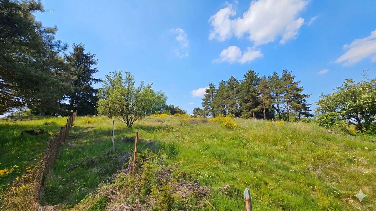 Terrain à CHANONAT