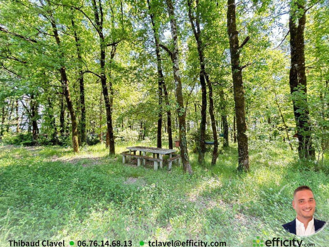 Terrain à BARBEZIEUX-SAINT-HILAIRE