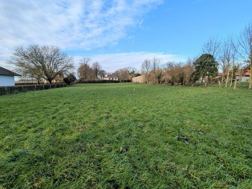 Terrain à SAINT-RIQUIER