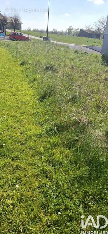 Photo 3 - Terrain à DIEBLING