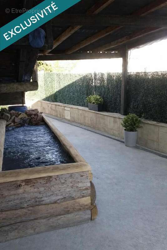 Photo 9 - Appartement à DANNEMARIE