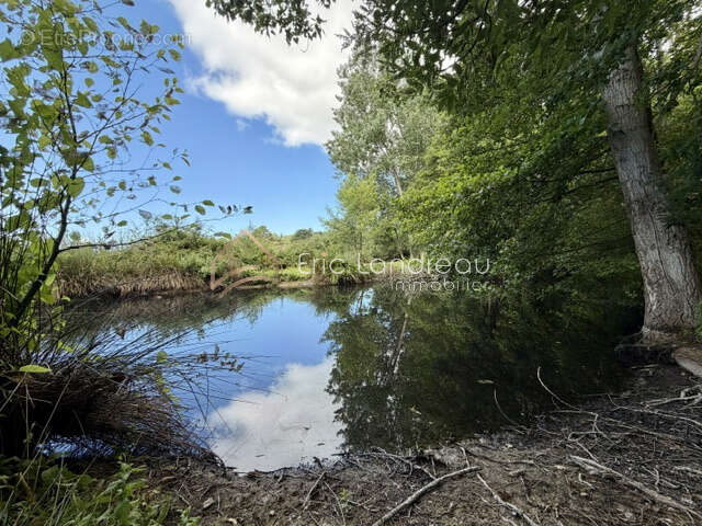 Terrain de 4575 m 2 avec un plan d'eau proche des commerces - photo 5