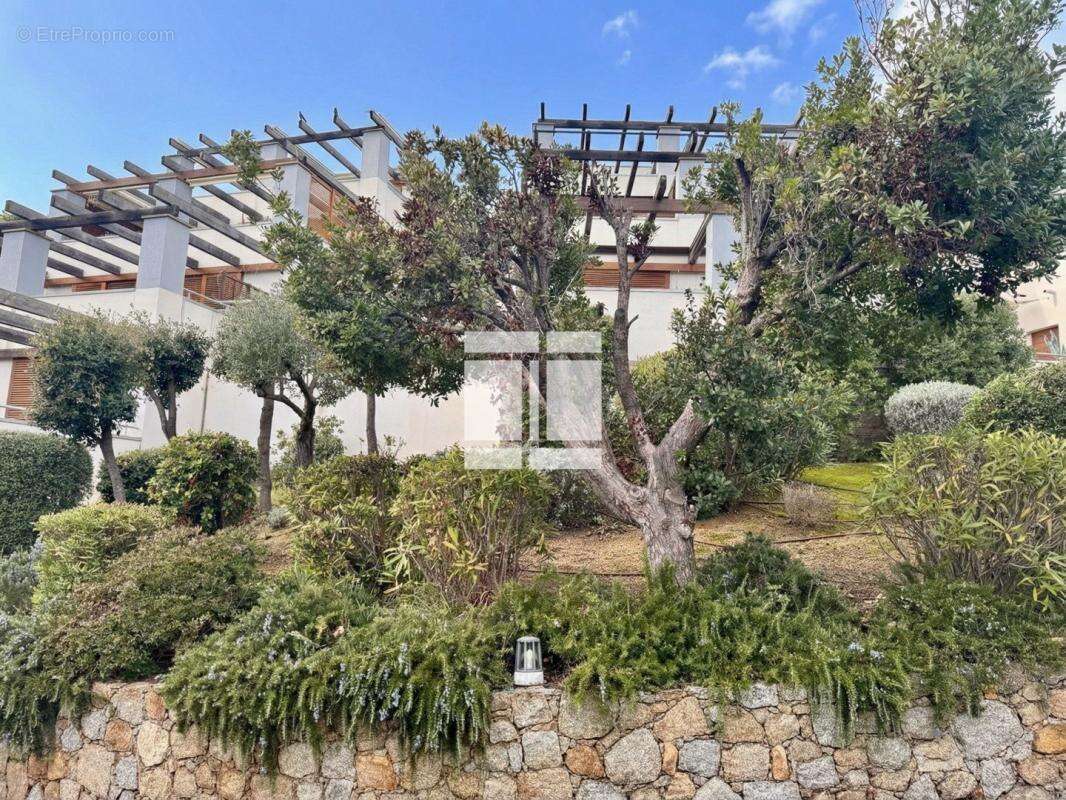 Appartement à CALVI